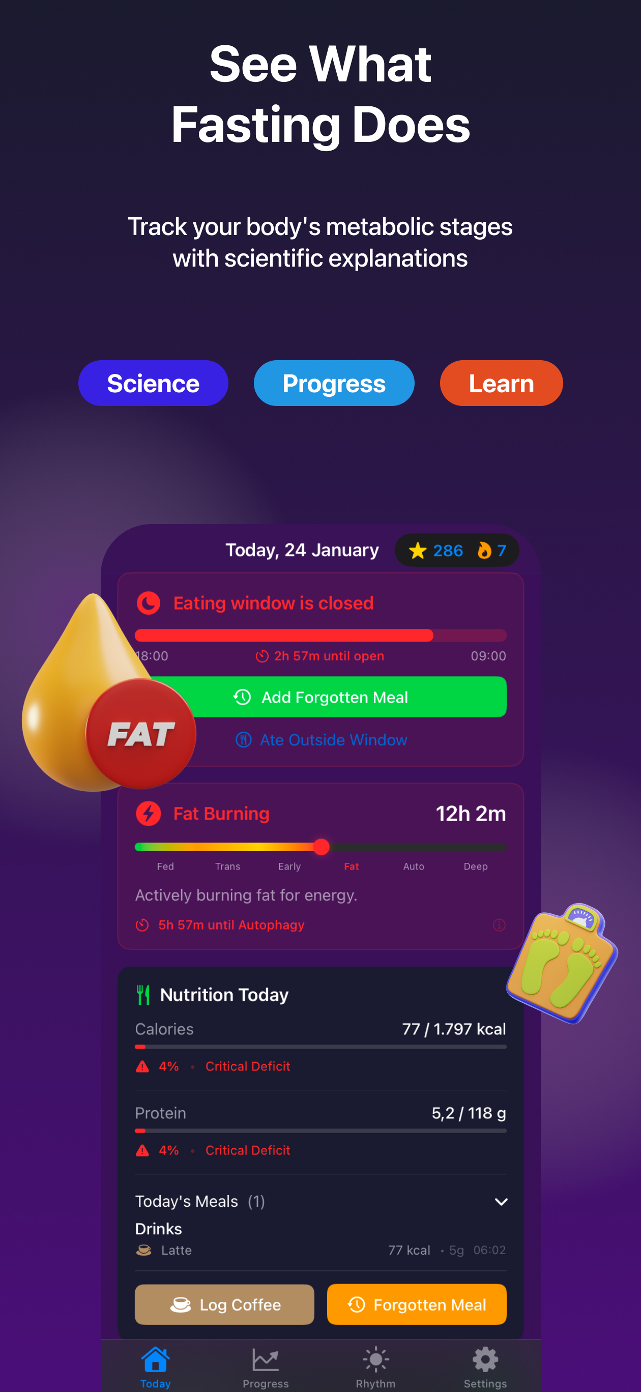 Fasting stages visualization